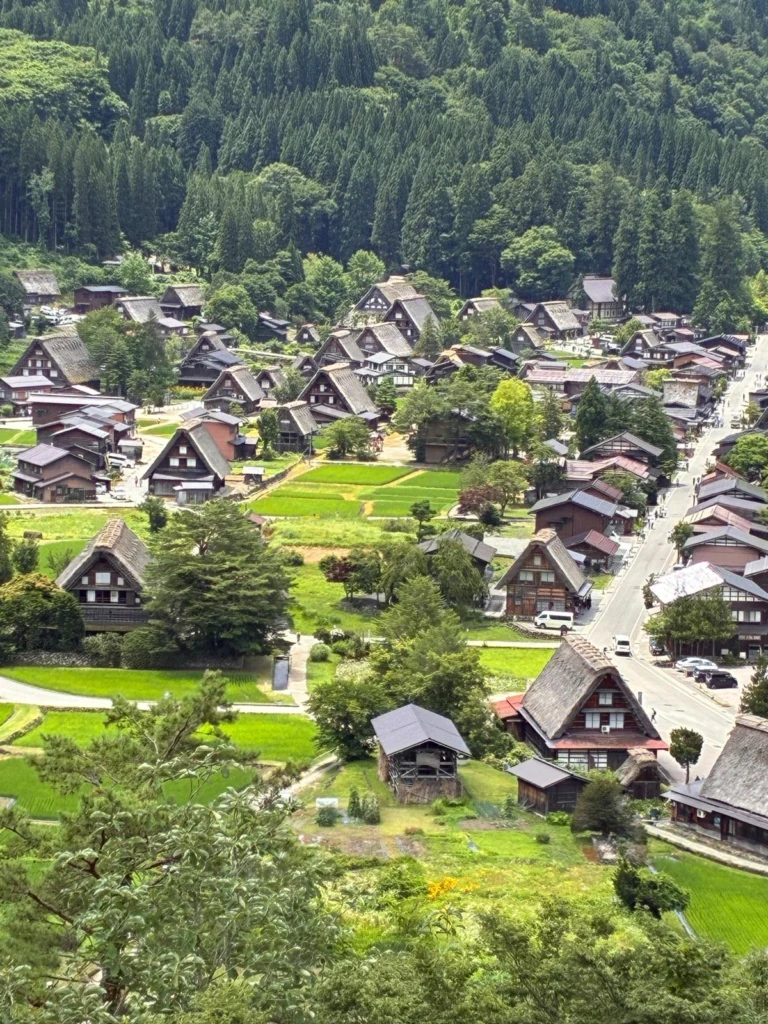 viaggio in giappone senza glutine su misura celiaci (5)