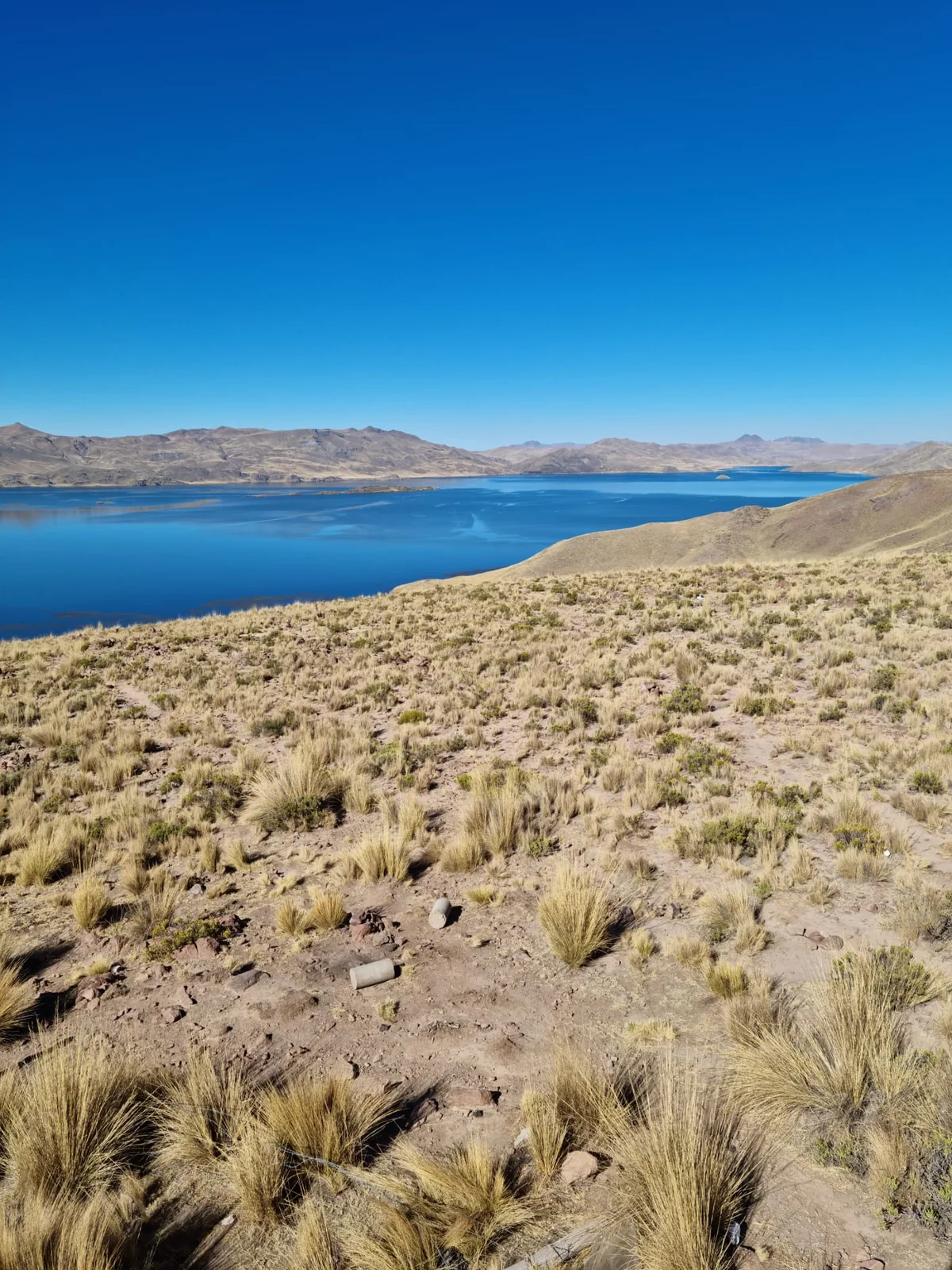 Lago blu e vegetazione rada su un altopiano andino